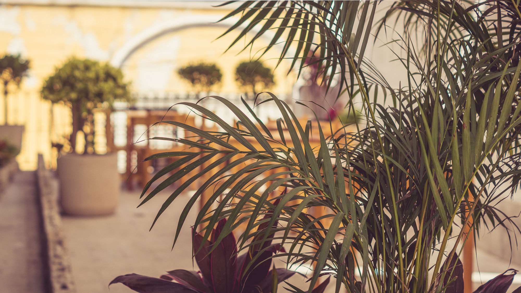 Casa Jade - Downtown Suites (Adults Only) Merida Bagian luar foto